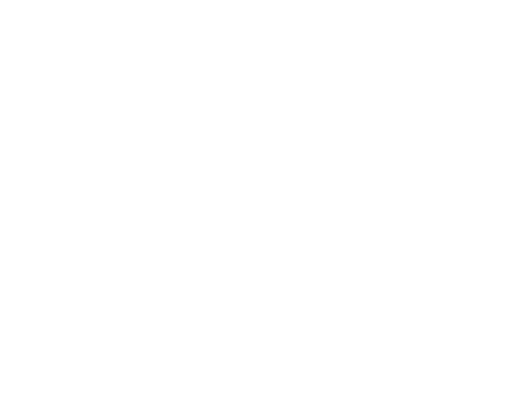 Data Hippo